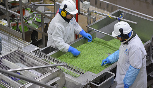 Alchemy Academy - Implementing SQF Systems Exam: Manufacturing