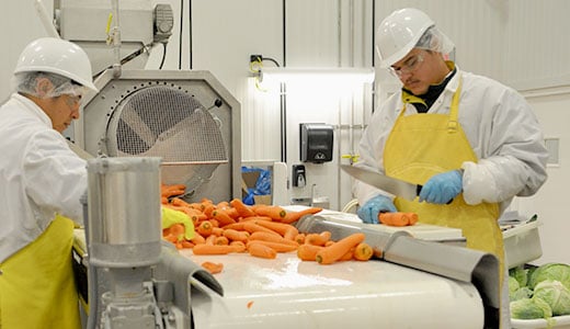 Academia de alquimia - Curso avanzado en línea de HACCP