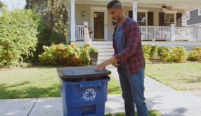 Everyday Sustainability (Facilitator)