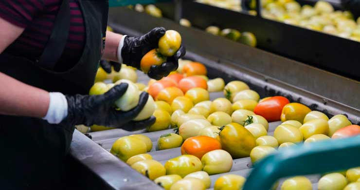 Blog - Produce Safety