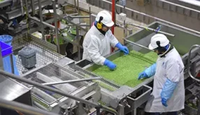 Implementing SQF Systems – Manufacturing: Exam