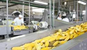 Implementing SQF Systems – Primary Production: Exam