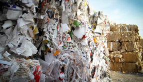 Recycling Basics (Facilitator)
