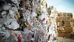 Recycling Basics (Facilitator)
