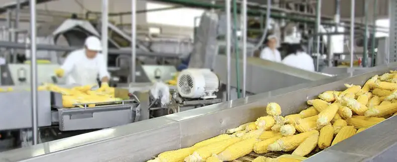 Banner de Produto