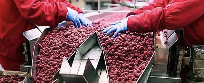 Bannière de produit
