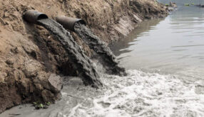 Stormwater Runoff (Facilitator)