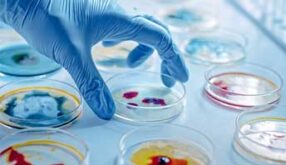 FDA Training: Fundamentals of Biosecurity 