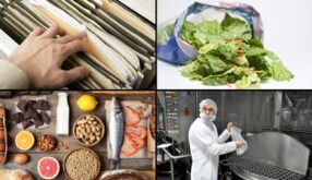 SQF Practitioner – Risk Management: Full Course Collection