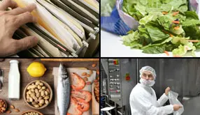 SQF Practitioner – Risk Management: Full Course Collection