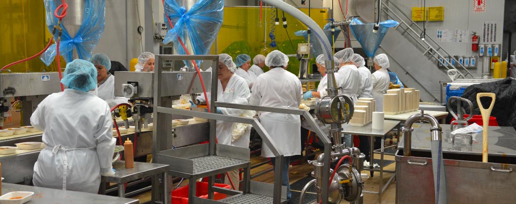 Online Food Safety Culture Courses Zosi Learning online-food-safety-culture-courses-zosi-learning