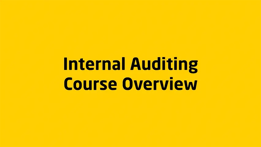 Internal Auditing Overview Video
