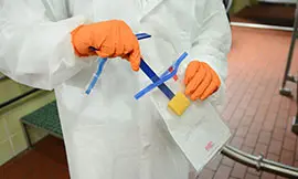 Related Training