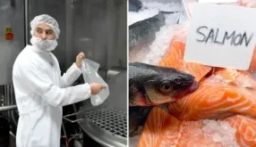 SQF Training: Food Fraud & Food Defense